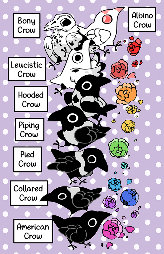 Crow Types 11x17 print