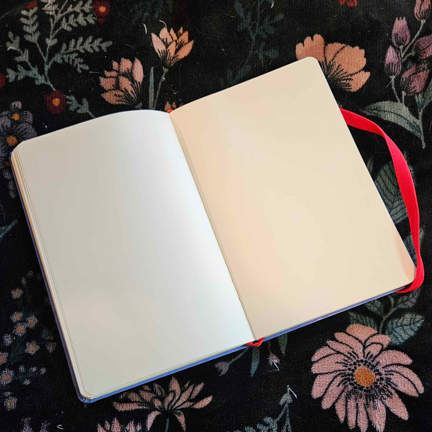 Rose are red blank sketchbook