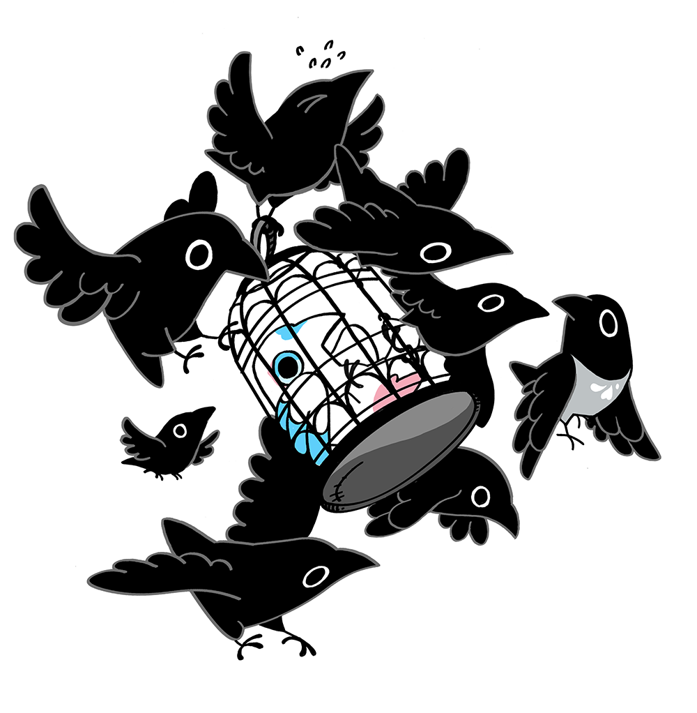 Crow Time 4
