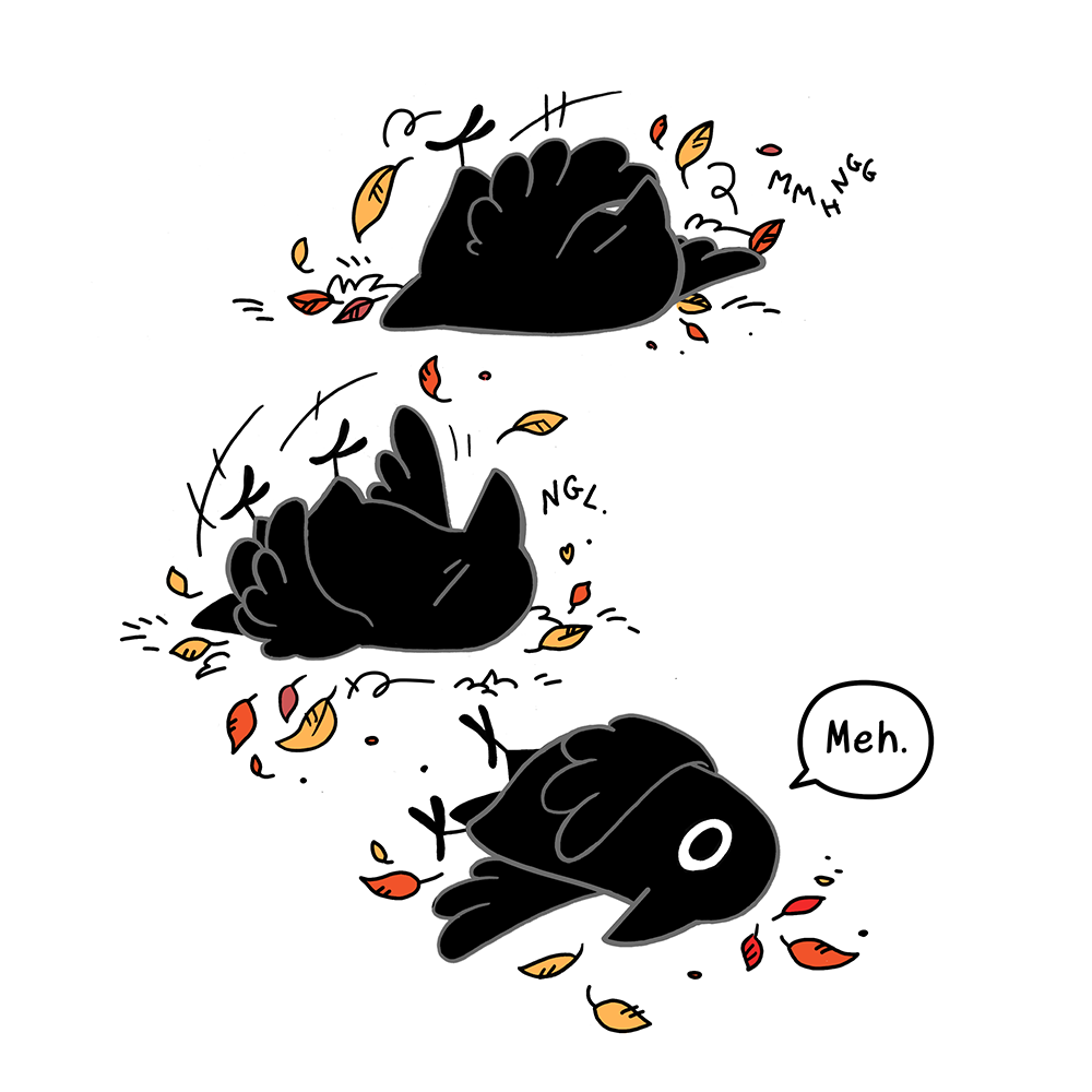 Crow Time 4